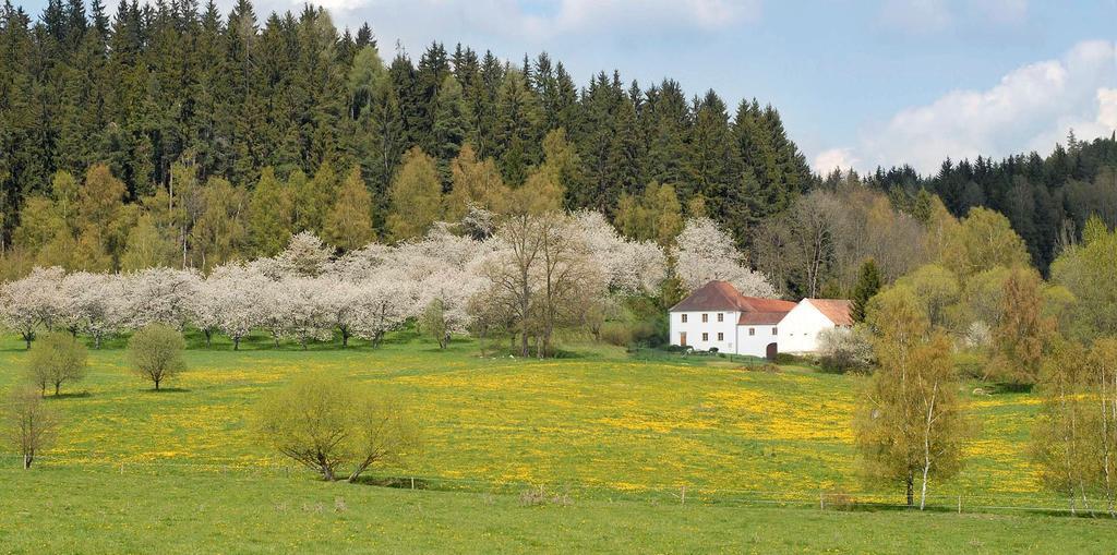קפליצה Penzion Krakovice מראה חיצוני תמונה